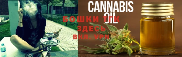 дживик Козельск