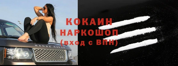 прущие грибы Кулебаки