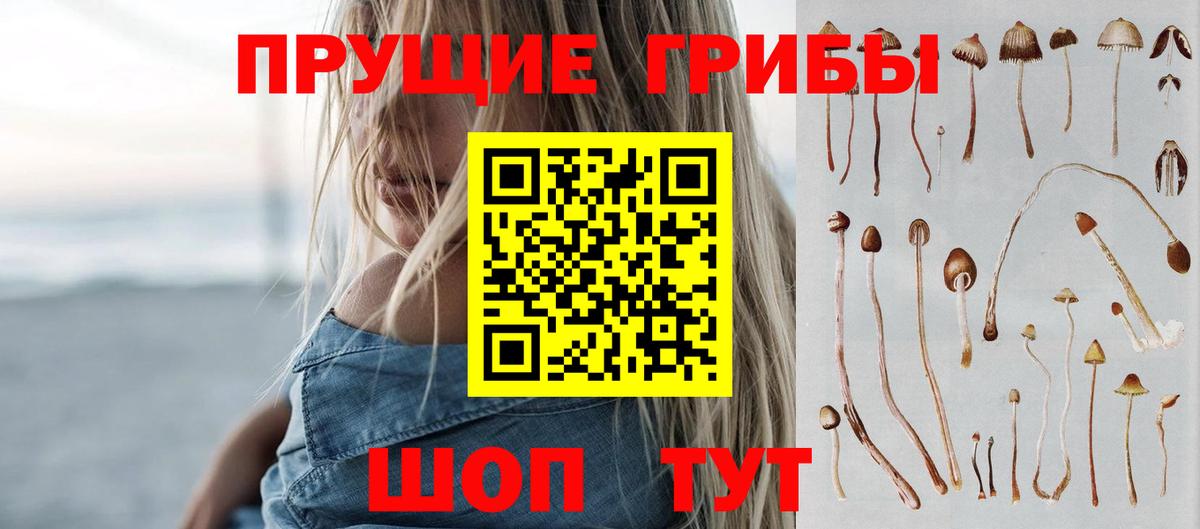 Галлюциногенные грибы прущие грибы  Галлюциногенные грибы ЛСД  Кунгур  Вход с VPN 