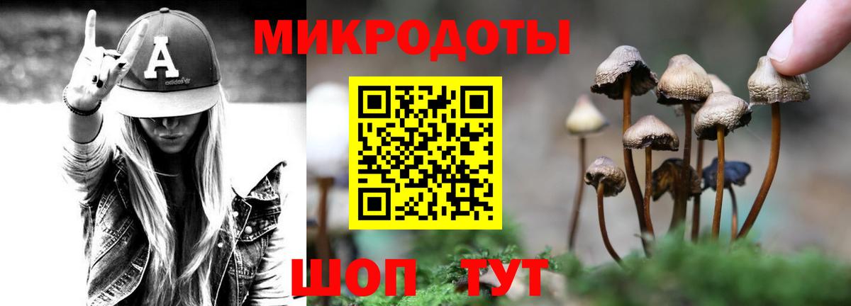 Псилоцибиновые грибы Psilocybe Кунгур