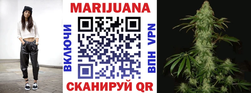 сколько стоит  Кунгур  Каннабис индика 